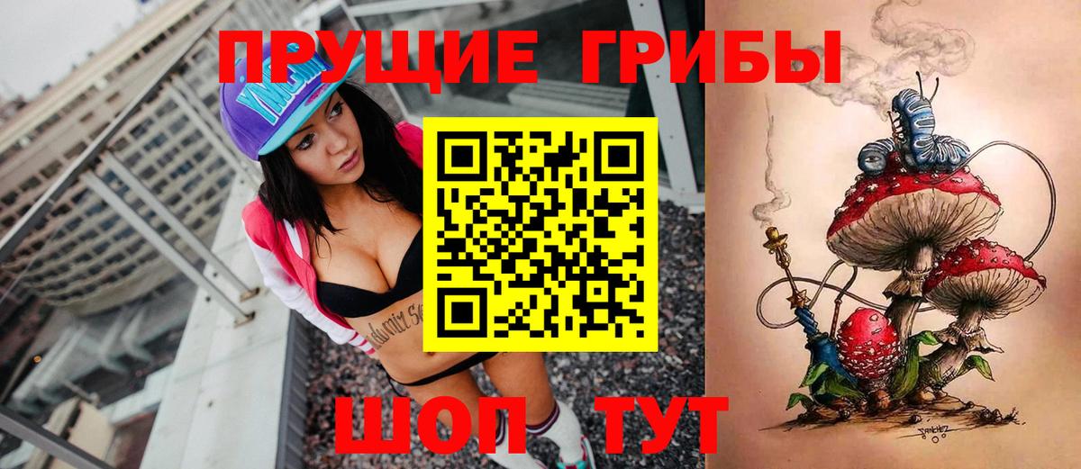 Галлюциногенные грибы прущие грибы Коряжма